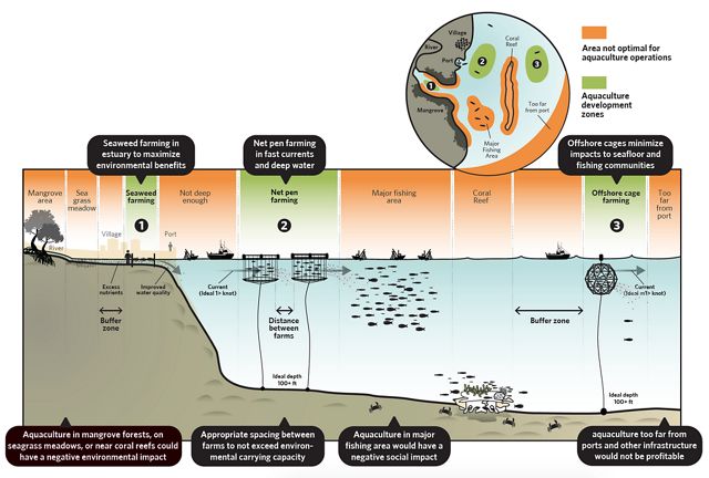 Smart Growth in Aquaculture